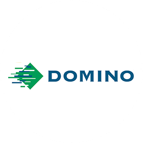 Domino logo website